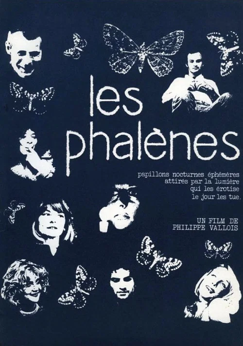 Постер: Les phalènes