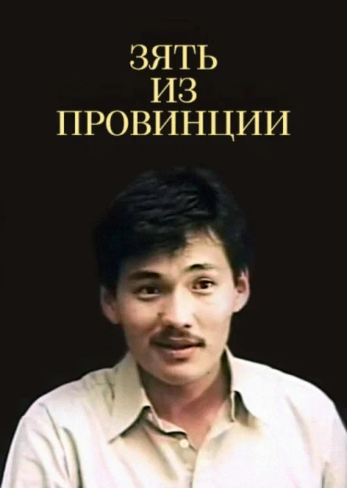 Постер: Зять из провинции