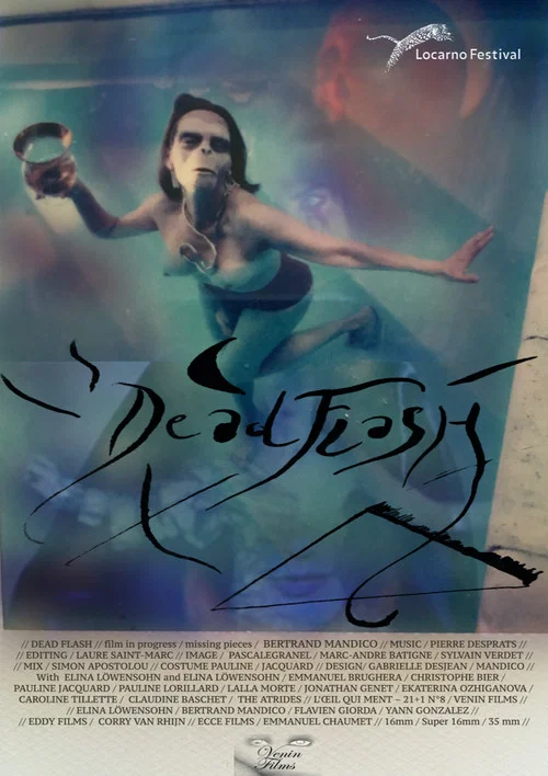 Постер: Dead Flash