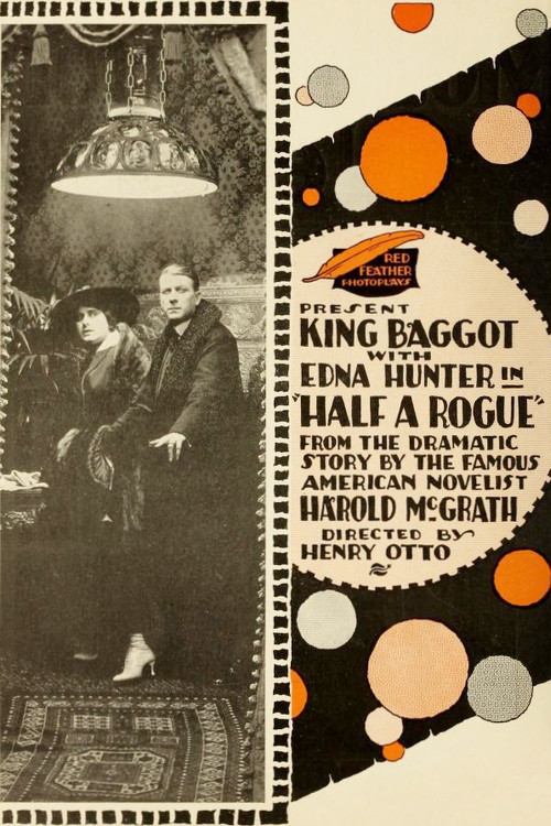 Постер: Half a Rogue