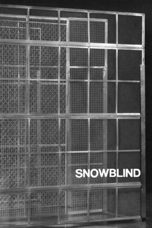 Постер: Snowblind