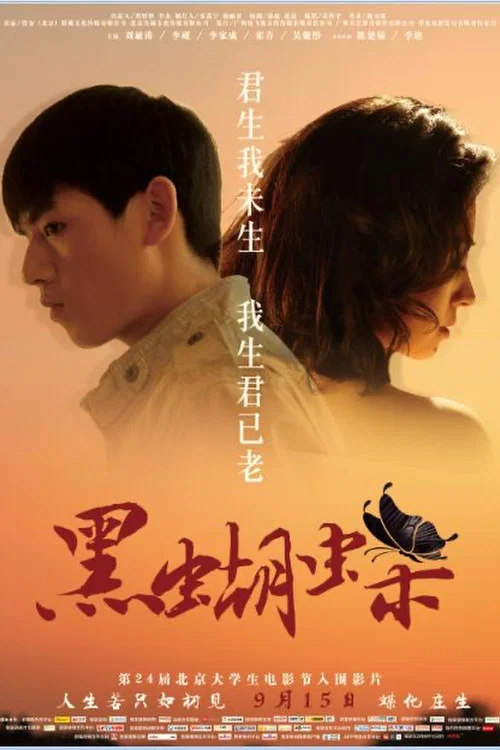 Постер: Hei hu di