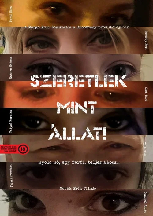 Постер: Szeretlek, mint állat!