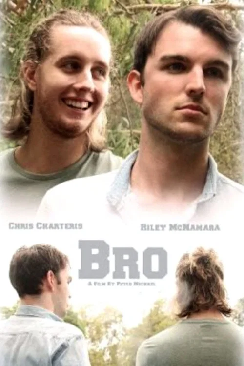 Постер: Bro