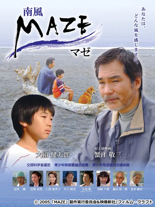 Постер: Maze