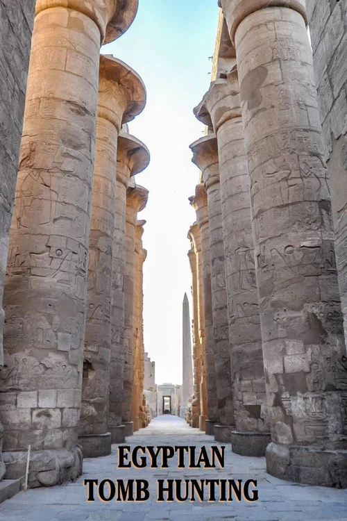 Постер: Egyptian Tomb Hunting