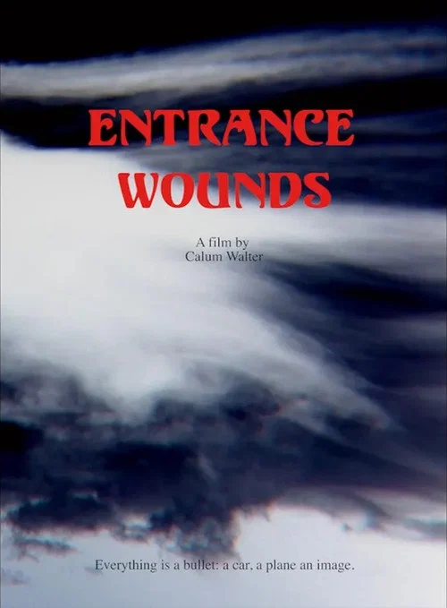 Постер: Entrance Wounds
