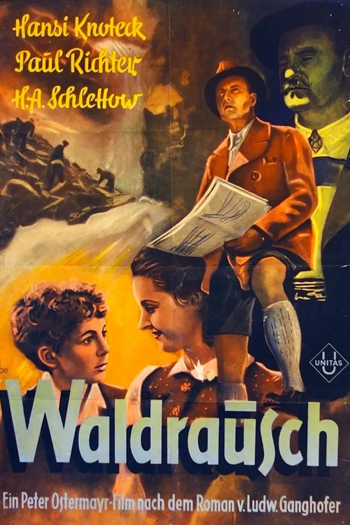 Постер: Waldrausch