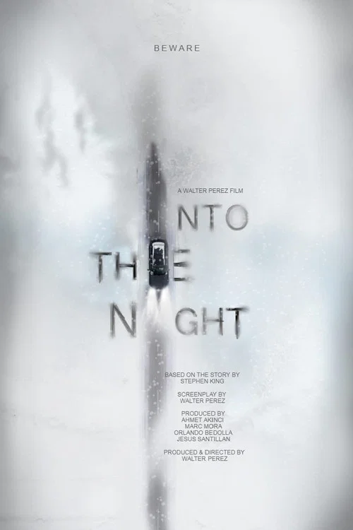 Постер: Into the Night