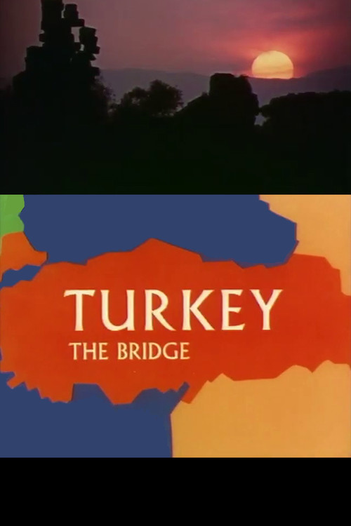 Постер: Turkey the Bridge