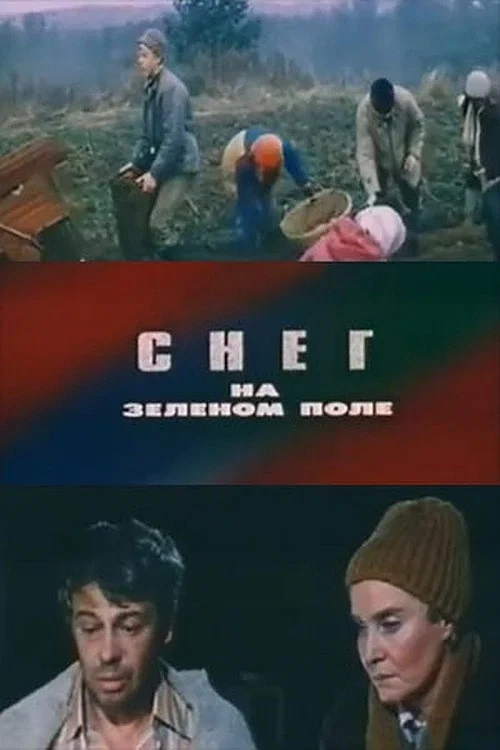 Постер: Снег на зелёном поле