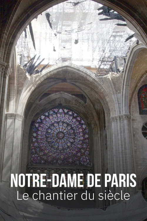 Постер: Notre-Dame de Paris, le chantier du siècle