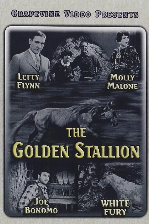 Постер: The Golden Stallion