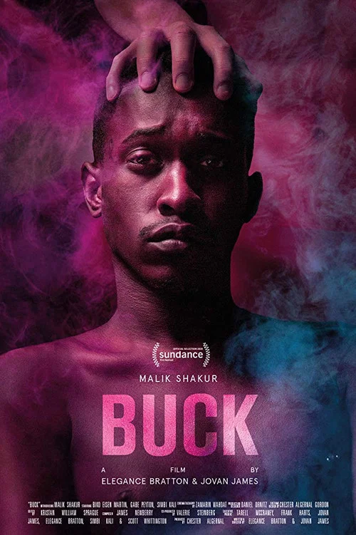 Постер: Buck