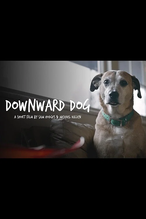 Постер: Downward Dog