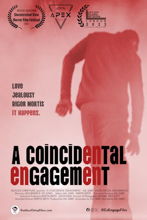 Постер: A Coincidental Engagement