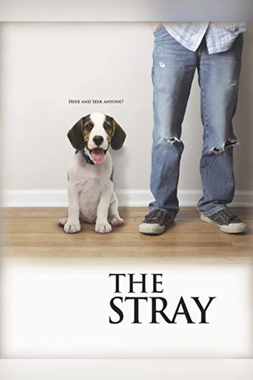Постер: The Stray