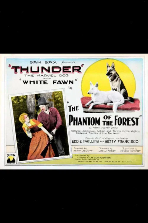 Постер: The Phantom of the Forest