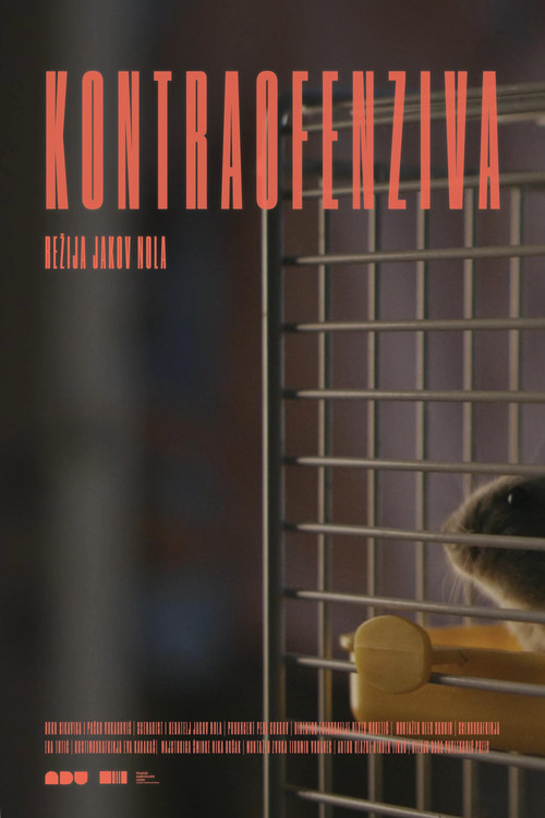 Постер: Kontraofenziva