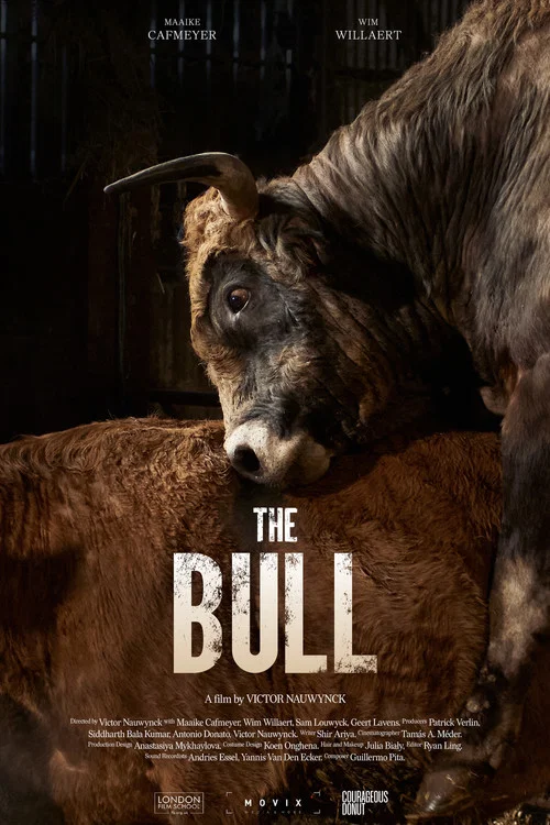 Постер: The Bull