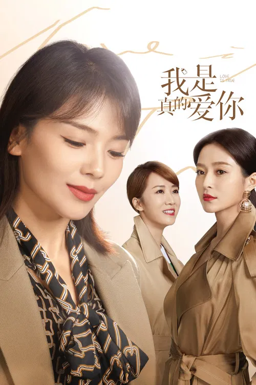 Постер: Wo shi zhen de ai ni