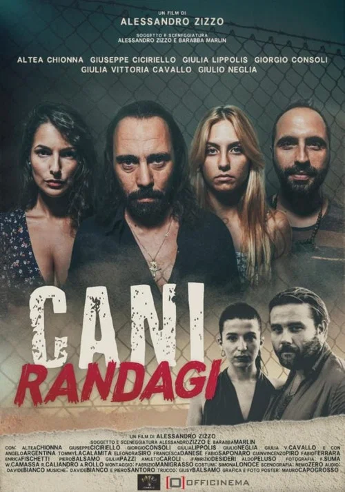 Постер: Cani randagi
