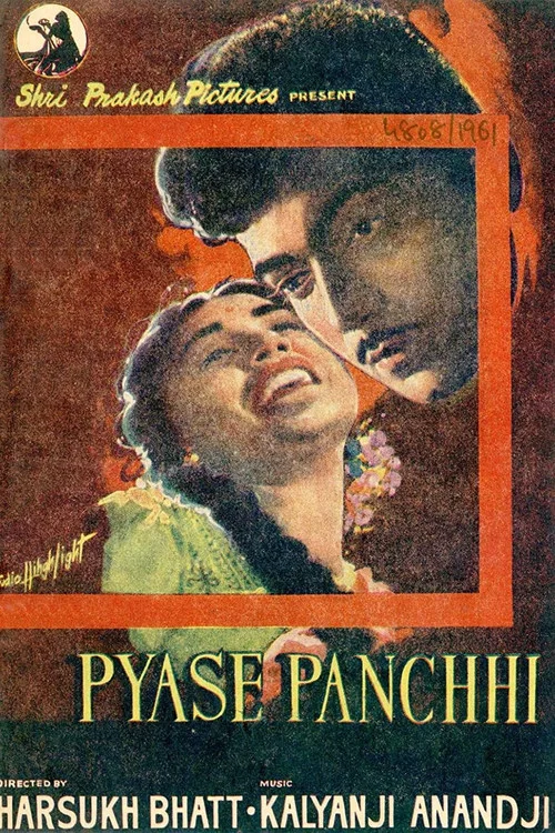 Постер: Payaase Panchhi