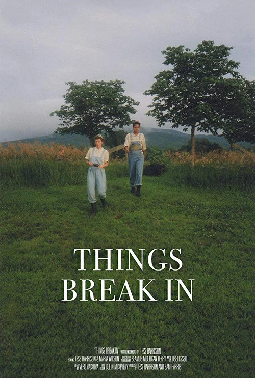 Постер: Things Break In