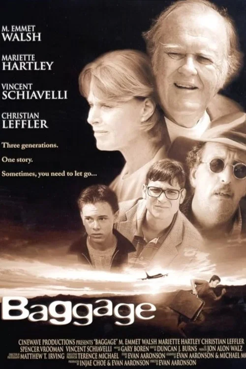 Постер: Багаж