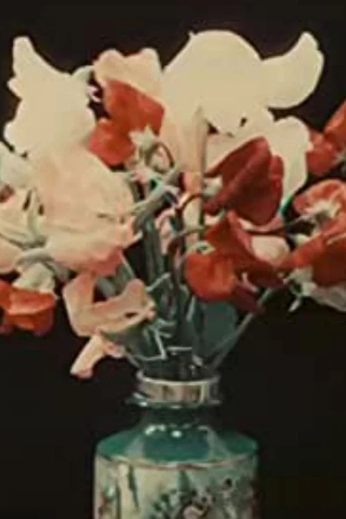Постер: Varieties of Sweet Peas