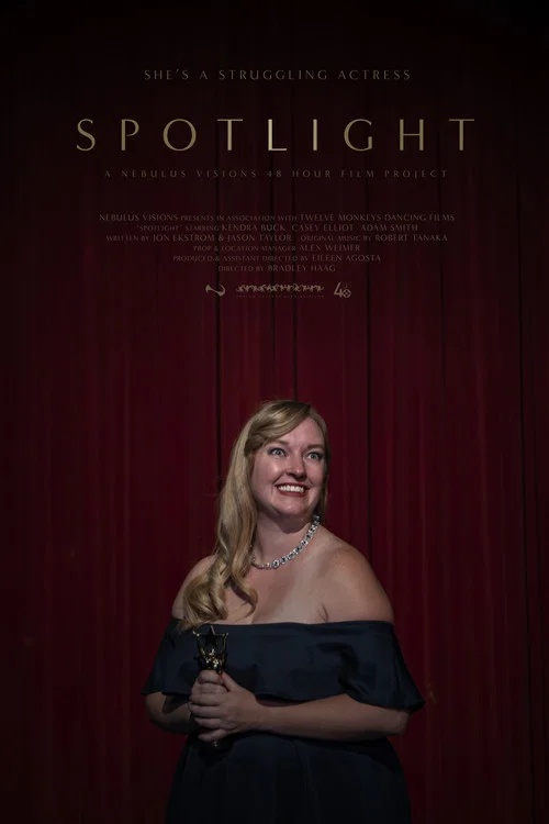 Постер: Spotlight
