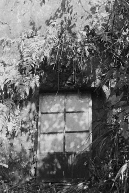 Постер: My Shelter