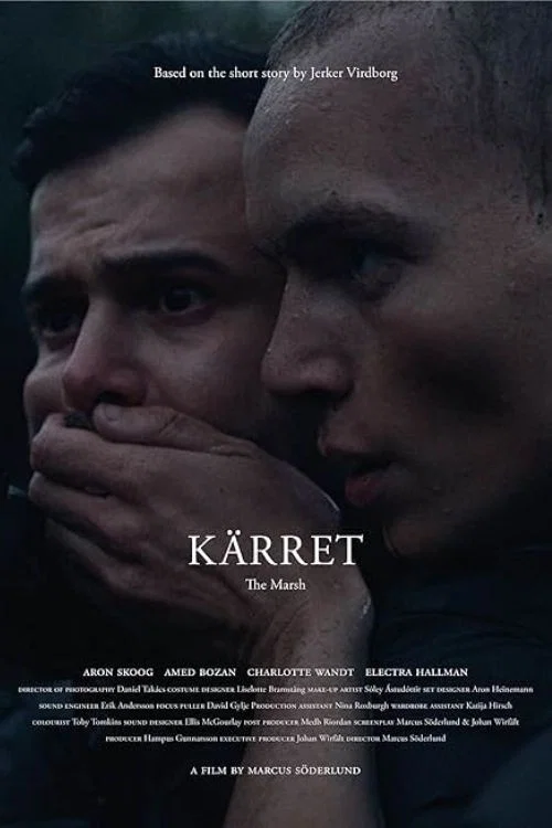 Постер: Kärret