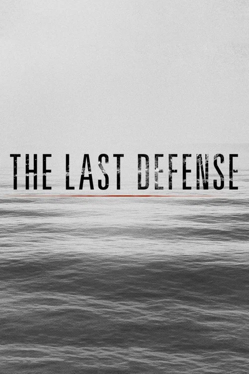 Постер: The Last Defense