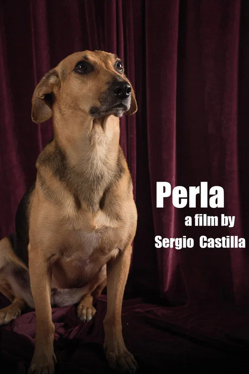 Постер: Perla: La Película