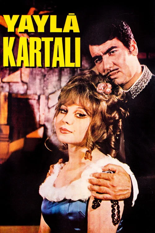 Постер: Yayla kartali