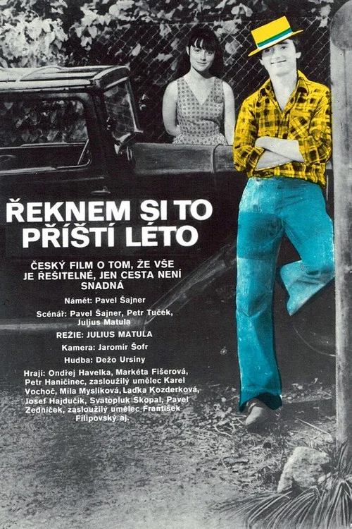 Постер: Reknem si to prístí léto