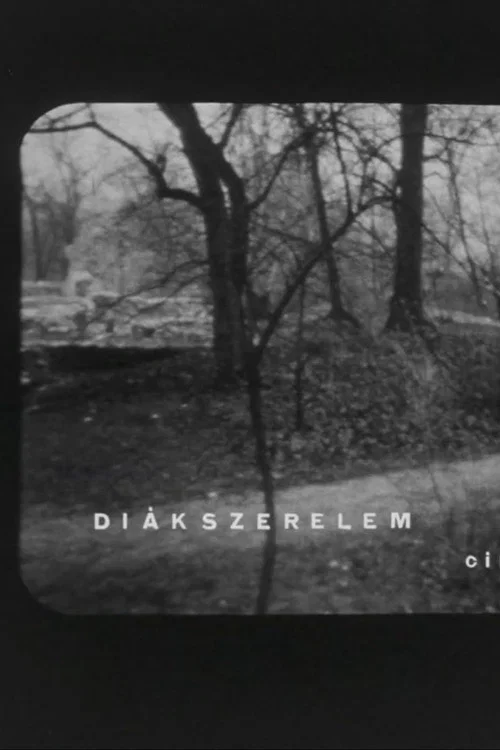 Постер: Diákszerelem