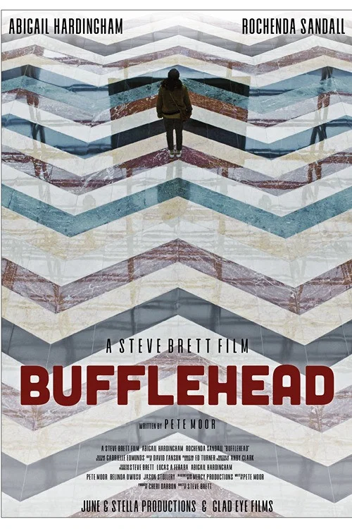 Постер: Bufflehead