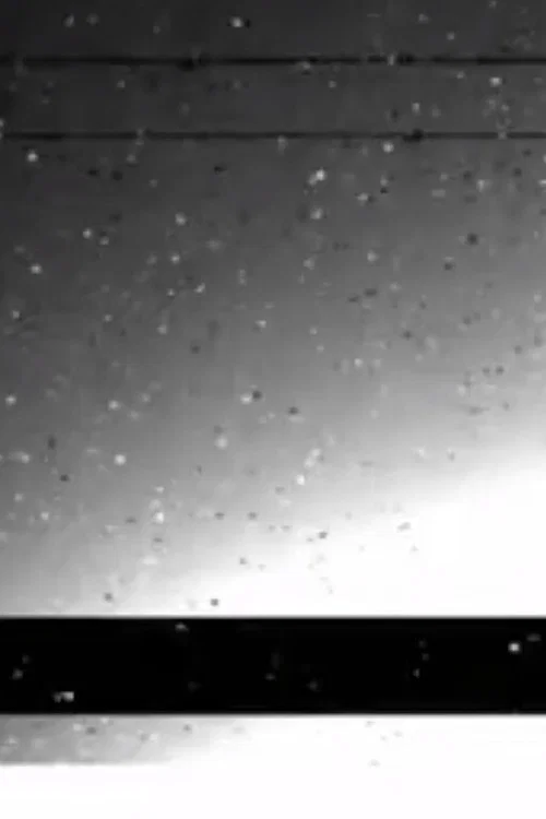 Постер: Black Rain
