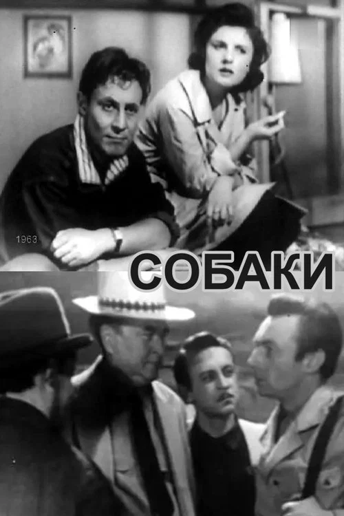 Постер: Собаки