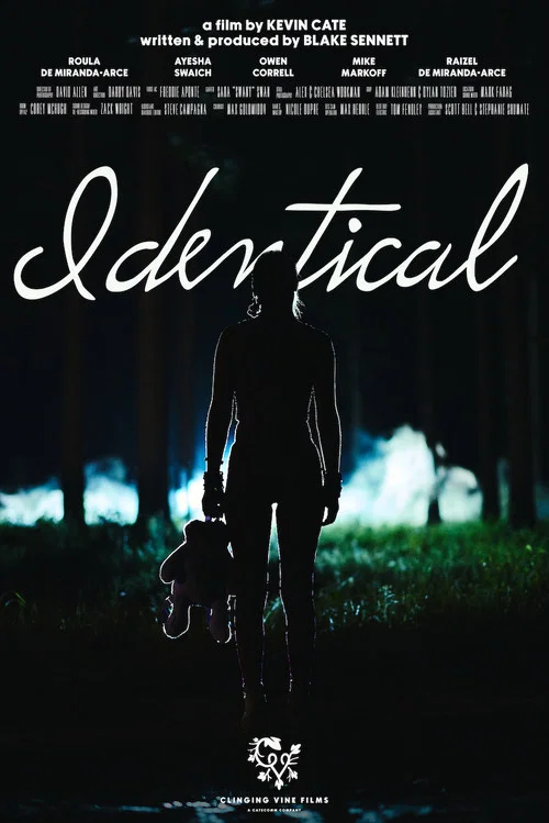 Постер: Identical