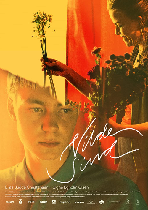 Постер: Vilde Sind