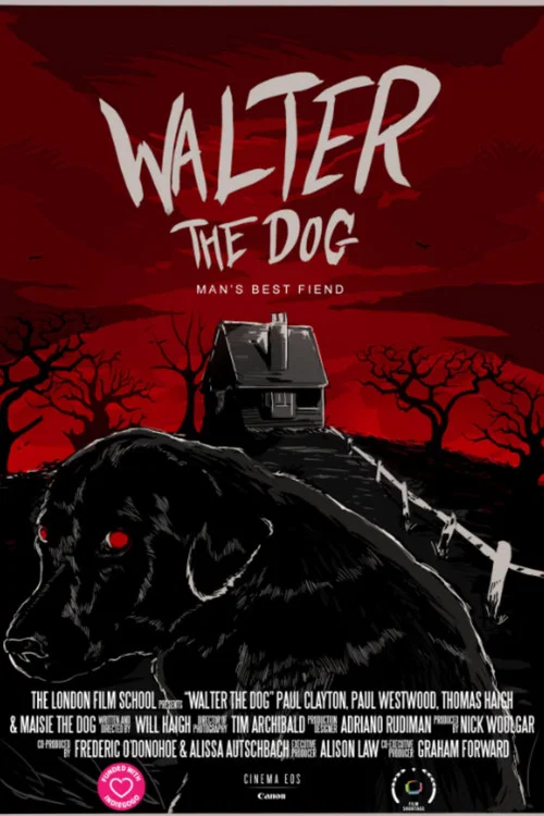Постер: Walter the Dog