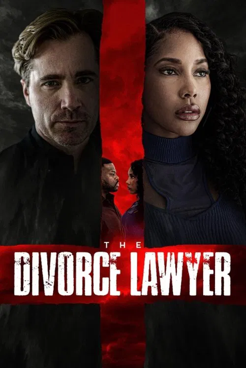 Постер: The Divorce Lawyer