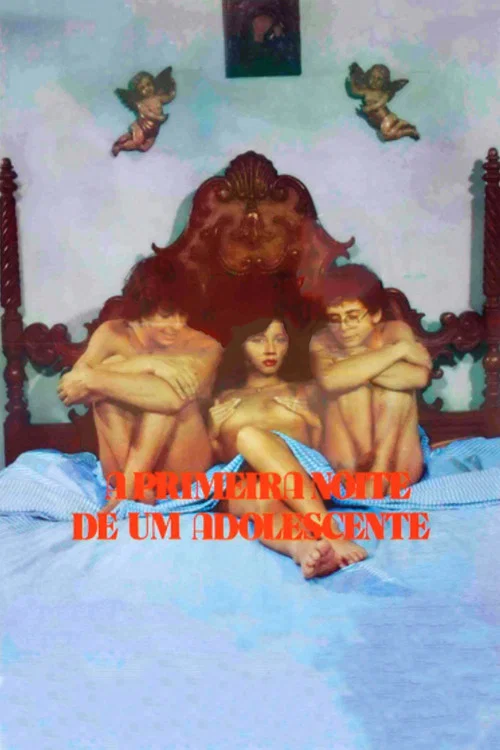 Постер: A Primeira Noite de Uma Adolescente