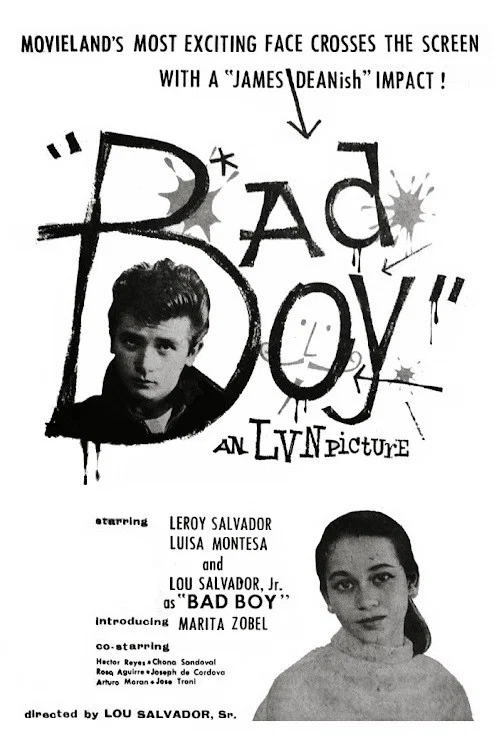 Постер: Bad Boy