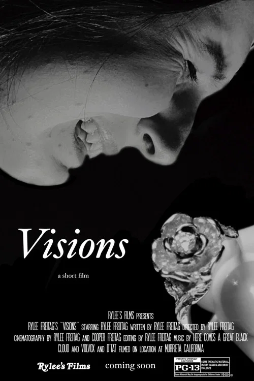 Постер: Visions