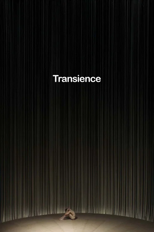 Постер: Transience