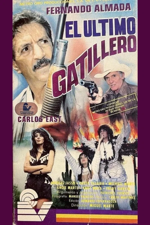 Постер: El último gatillero